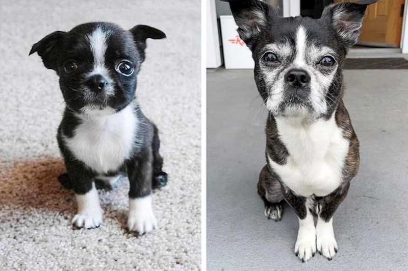 12. 13 godina kasnije i dalje je kao anđeo koji mi je iz raja pao direktno u zagrljaj.😍