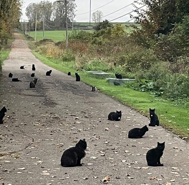 13. Ovo ne može biti slučajno...