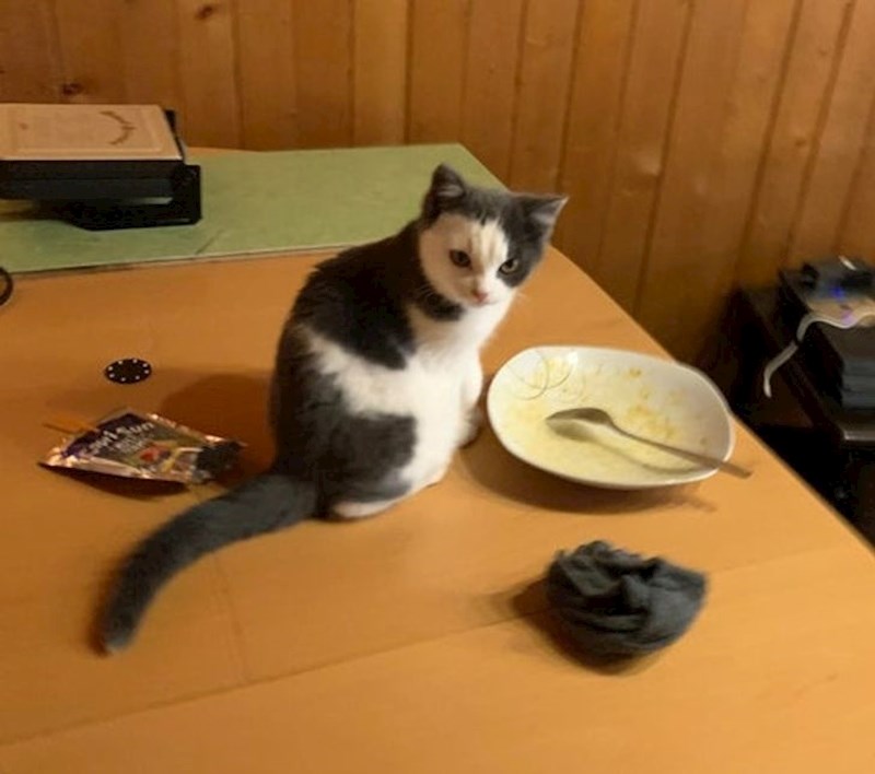 12. Nije sretna što joj ništa nisu ostavili.