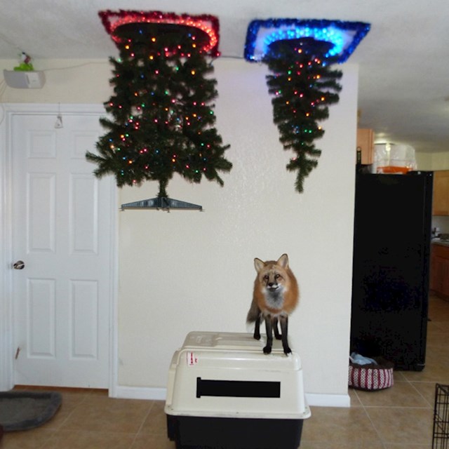 3.