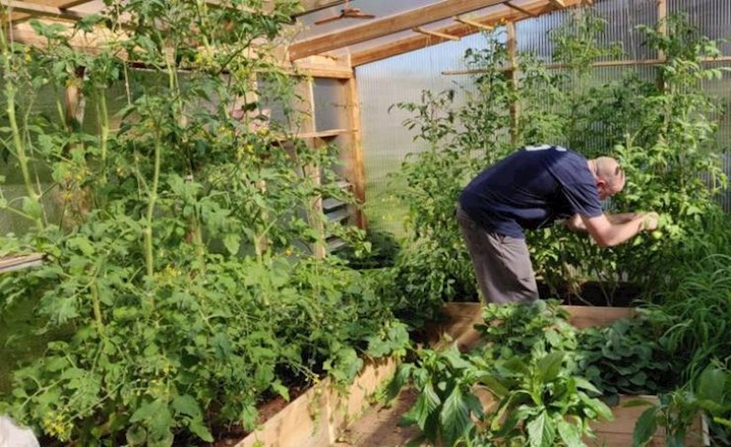 5. Moj muž ne voli rajčice, ali obožava ih uzgajati zbog mene. Svaki dan ih njeguje i moram vam reći da su to najukusnije rajčice na svijetu!