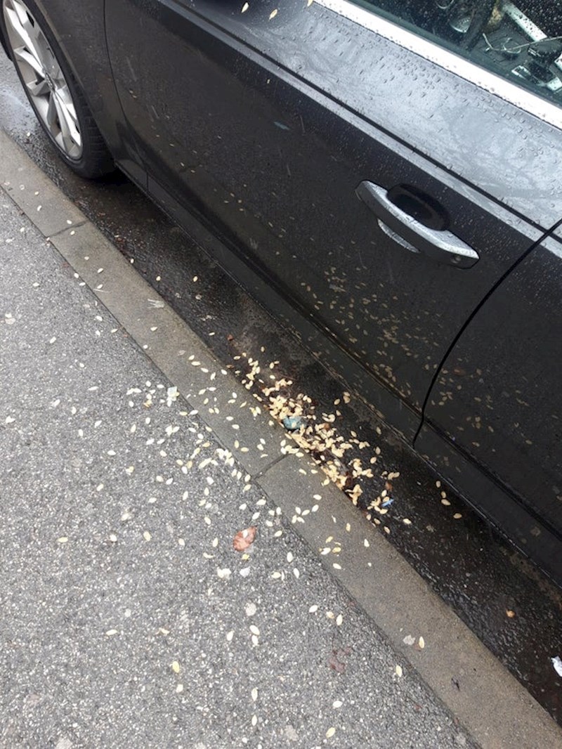 Tip je kroz prozor izbacio koštice od pistacije