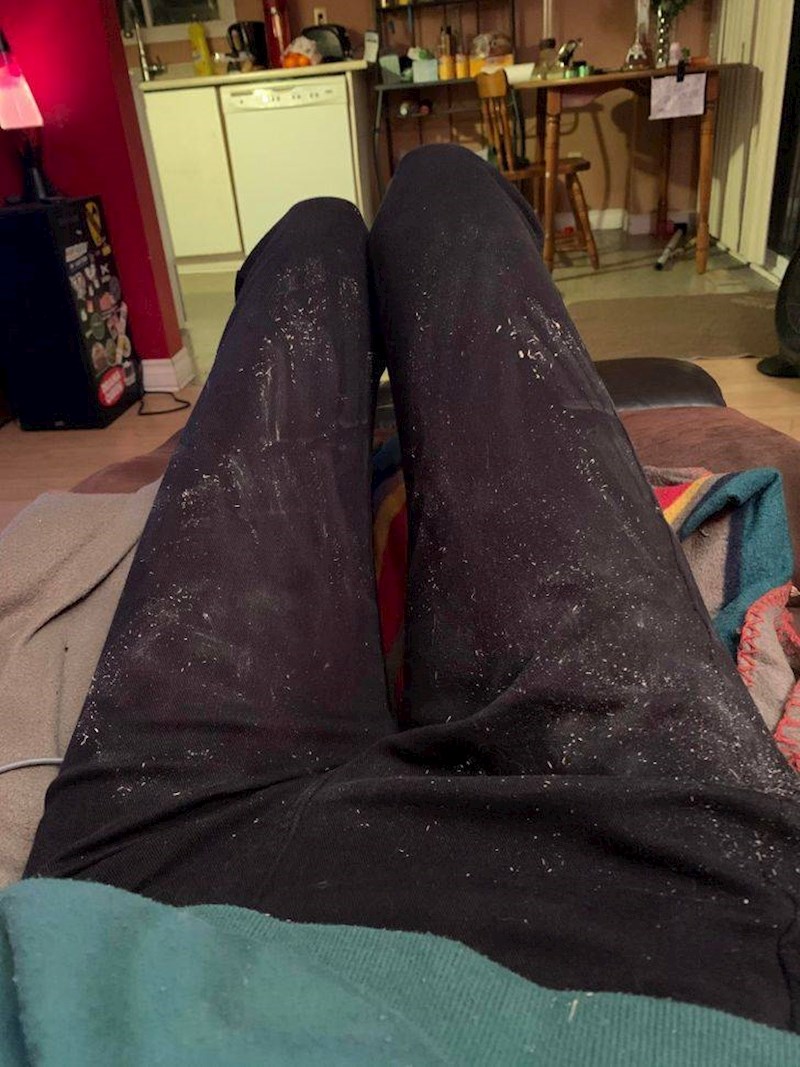 14. Mazila je svoju pudlicu dobrih 45 minuta