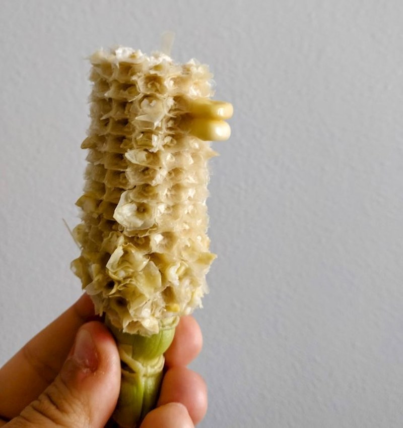 1. "Moj sin napravio je patkicu od kukuruza i to mu je bilo toliko smiješno da je morao podijeliti fotku sa svima..."