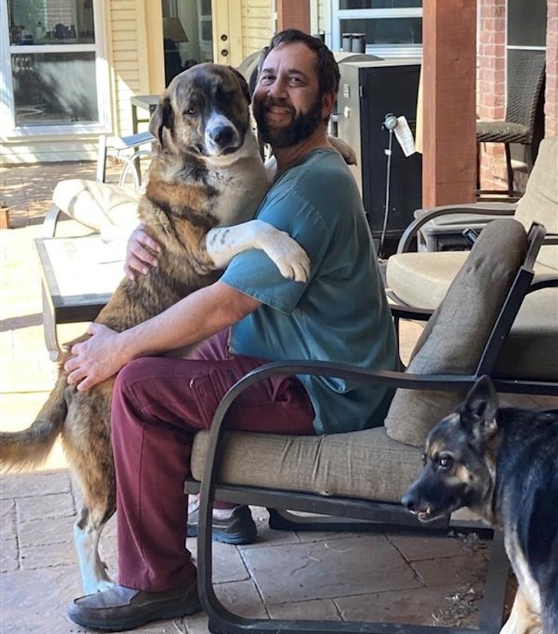 6. "Ovaj pas dolazi nam u goste već dvije godine. Konačno smo nagovorili njegove vlasnike da ga i službeno udomimo!"