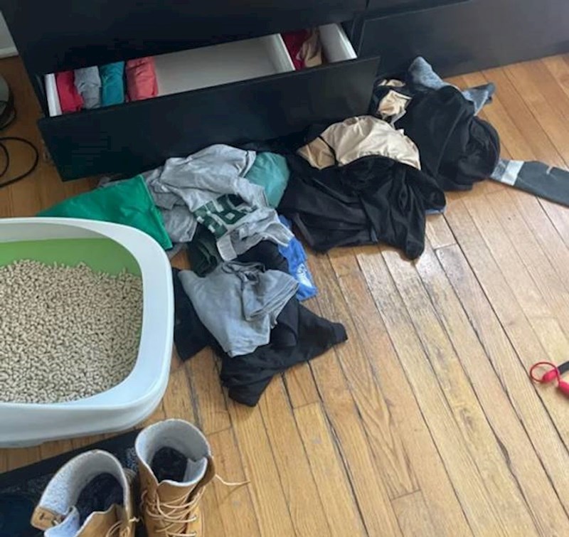 14. "Moja mačka uvijek vadi odjeću iz mojih ormara i razbacuje ju."