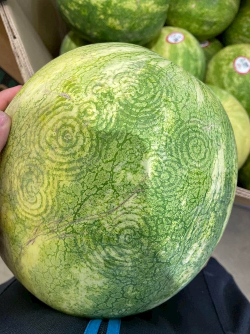 13. Zanimljivi otisci na lubenici