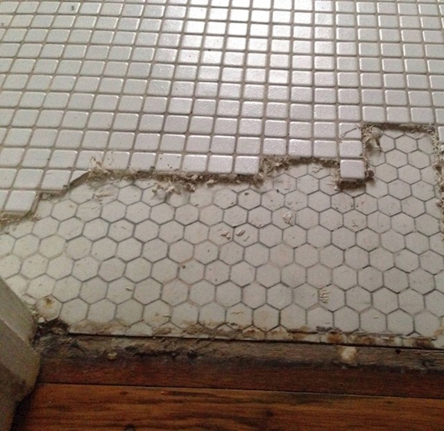 7. "Supruga i ja htjeli smo mozaične pločice u kupaoni. Otkrili smo da smo ih, ne znajući, već imali..."