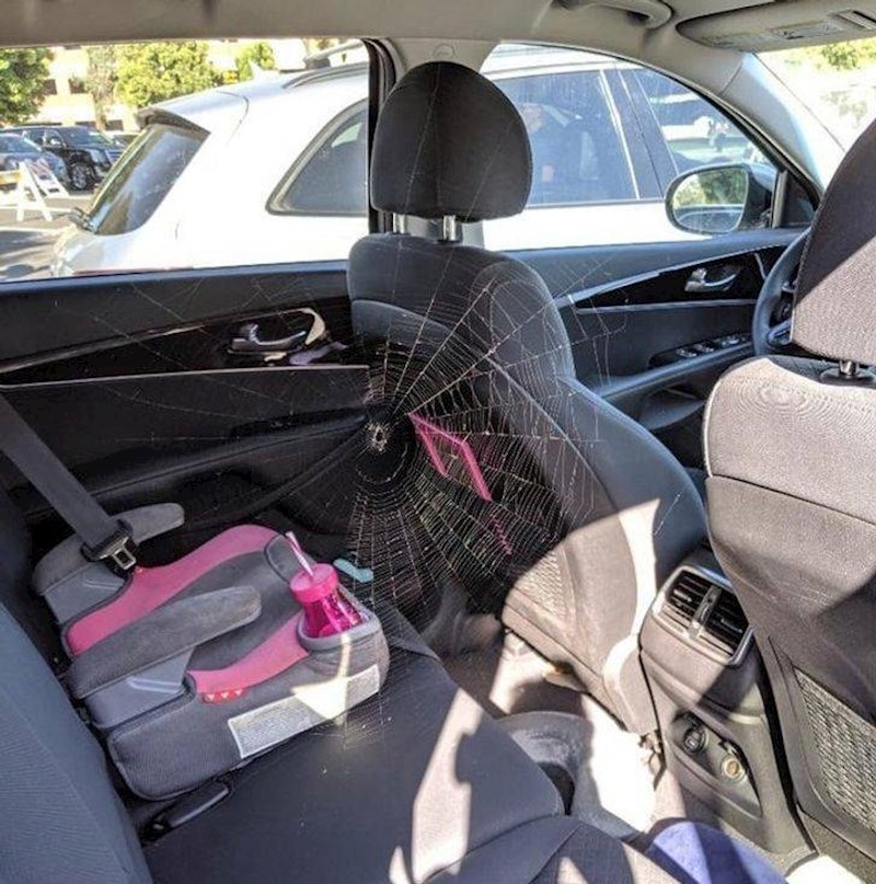 1. Vrata od auta ostala su otvorena preko noći i dočekalo ih je ovo😬