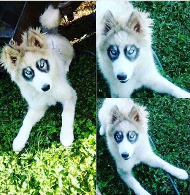 13. Priroda joj je podarila naočale