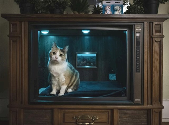 9. Transformirali smo stari TV u krevetić za mačku