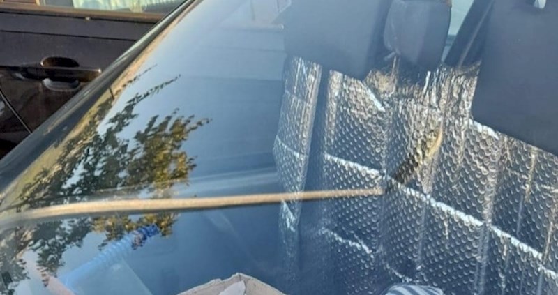 Snalažljivi Dalmatinac oduševio je ekipu na Fejsu zbog onoga za što je iskoristio svoj auto