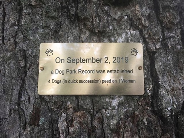 1. Oznaka kojom se odaje počast zanimljivom rekordu postavljenom u psećem parku. Jednu sirotu ženu na isti dan popiškila su čak 4 psa.