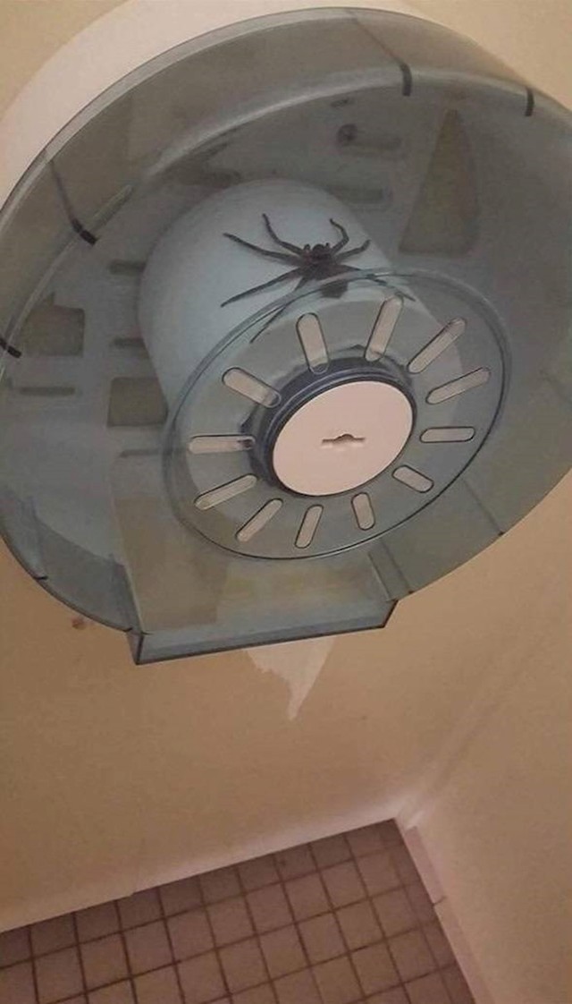 14.