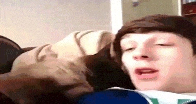 Gnjavio je svoju mačku dok je spavala i dobio što je zaslužio