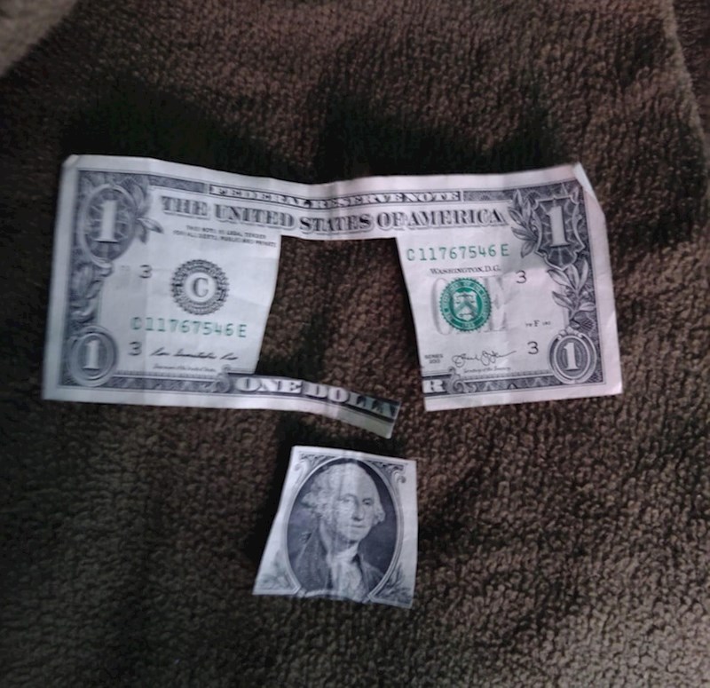 9. Klinac je htio portret Georgea Washingtona.