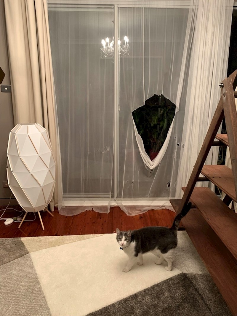 16. "Ne brinite, sada mogu ići van."