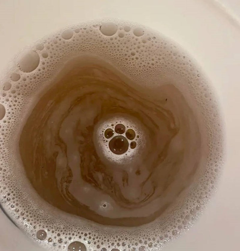 3. "Prala sam psu šape zmazane od zemlje. U prljavoj vodi formiralo se par mjehurića koji zajedno tvore oblik pseće šape."