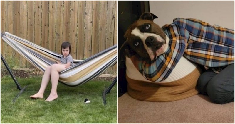 17 smiješnih primjera koji dokazuju da je kut fotografiranja jako važan