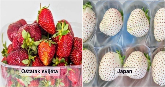 15 stvari po kojima se Japan razlikuje od ostatka svijeta
