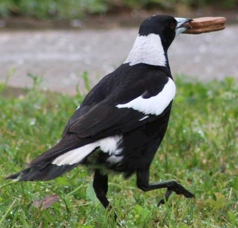 Uopće joj nije žao.