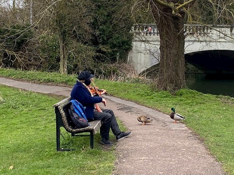 12. Koncert za ptice.