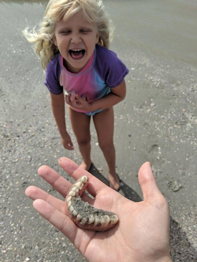 9. "Išli smo na plažu tražiti zube morskog psa. Stvarno nisam ovo očekivao kad mi je vikula da je našla zube..."