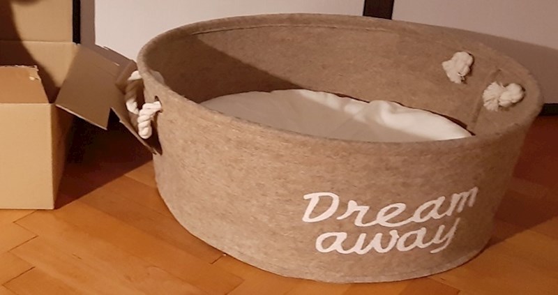 Žena iz Srbije kupila je košaru svojem mačku, njegova reakcija postala je hit