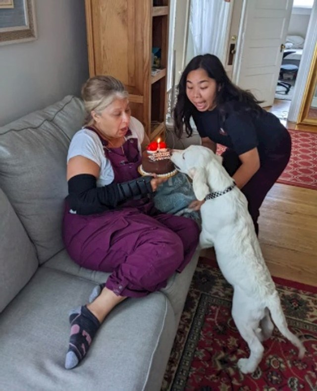 1. Naš pas odlučio je prisvojiti maminu rođendansku tortu