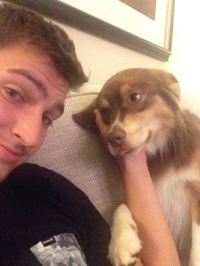 6. Ono kad se pas zaljubi u tebe