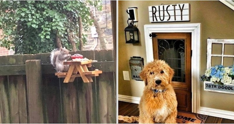 25 ljudi koji su u karanteni napravili nešto vrlo kreativno