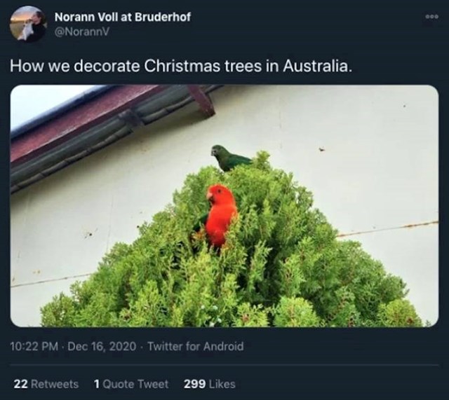 2. Kako ukrašavaju božićno drvce u Australiji