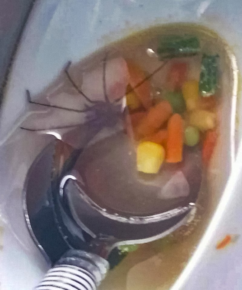 15. Mmmmljac...juha s paukom!