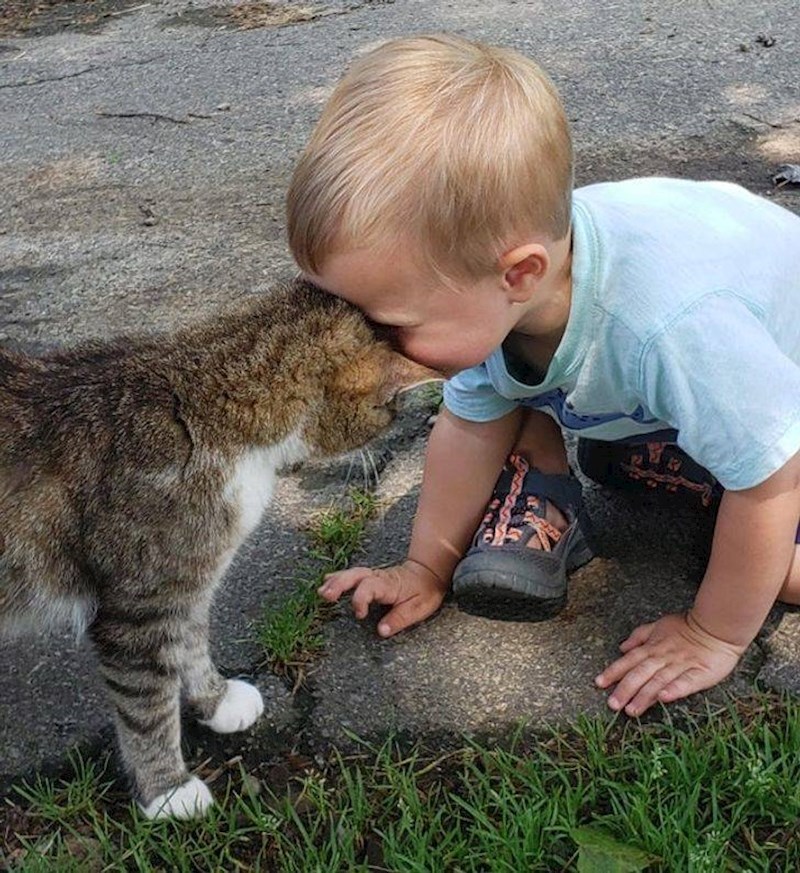 15. "Naš sin dobio je prvog kućnog ljubimca."