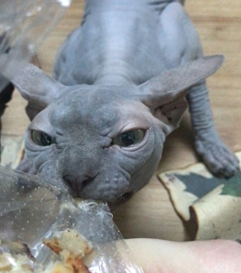 "Otkad imam nju, više ne mogu jesti sama."