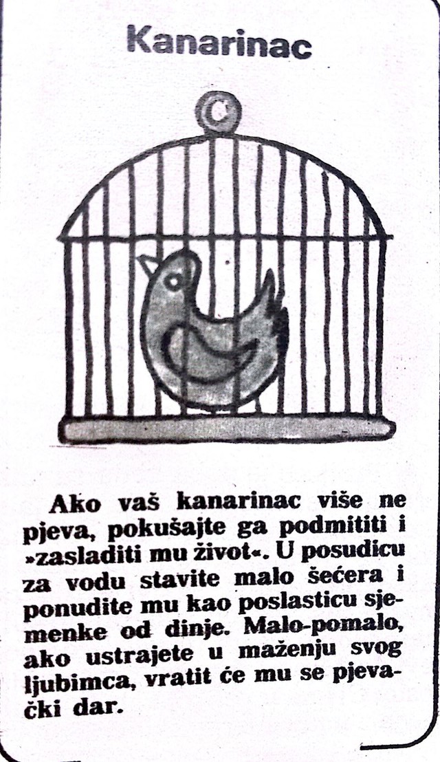 20.