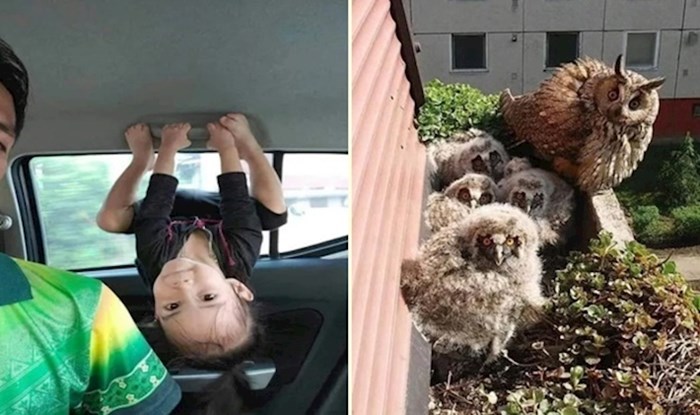 14 ljudi koji su se našli u vrlo neočekivanim situacijama