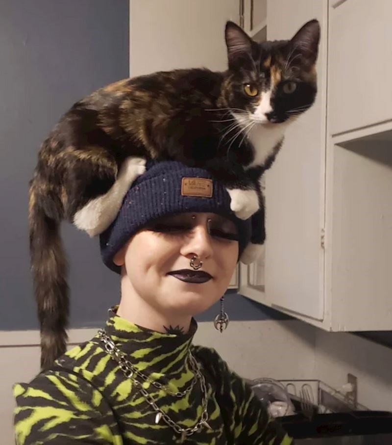 15. Ova mačka obožava sjediti na glavi svoje vlasnice