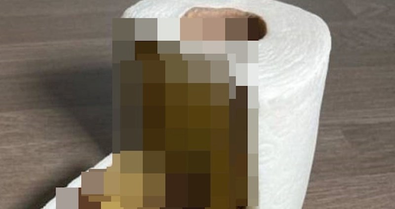 Ova rola toaletnog papira skriva vrlo neobičnu i zanimljivu tajnu