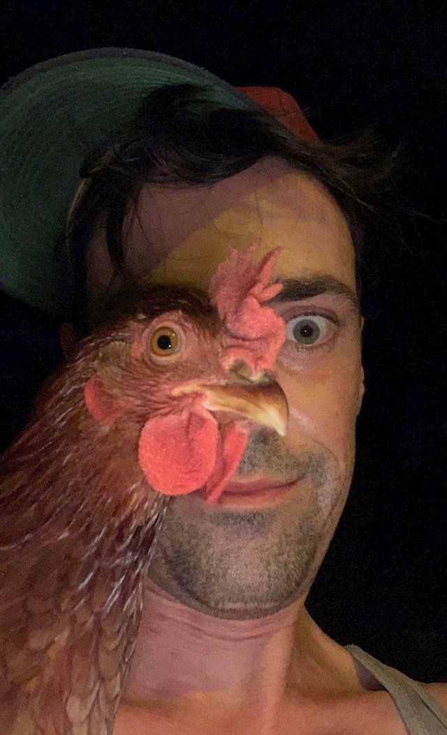 15. Kad pokušaš uslikati selfie s kokoši...