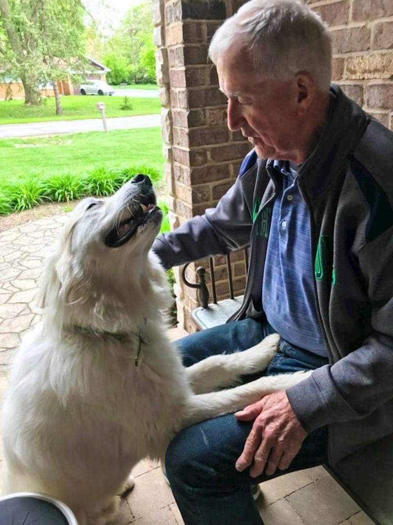 18. Pogled koji je ovaj pas uputio ovom gospodinu!😍