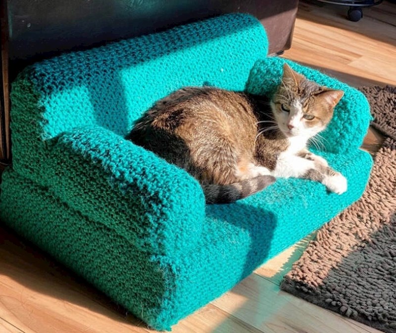 13. Napravila sam kauč za svoju staru macu. Izgleda da joj se sviđa!