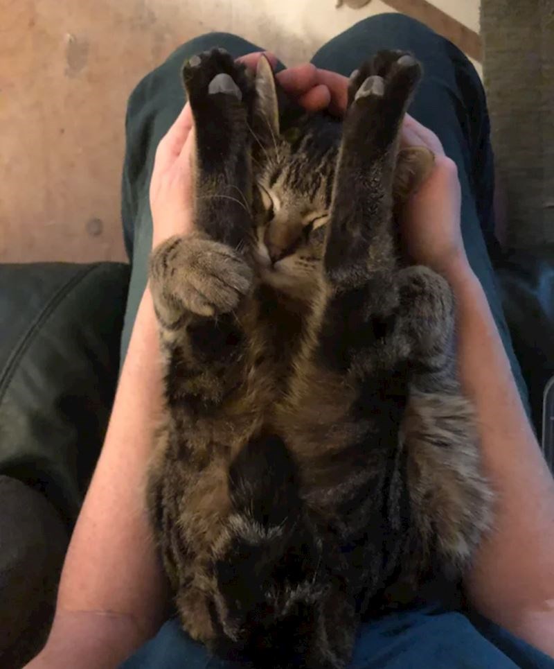 13. "Svaki put kad ju uzmem u ruke napravi ovu pozu"