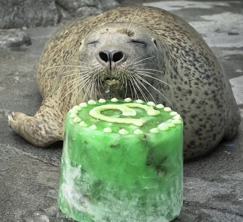 5. Sretan rođendan!🥳