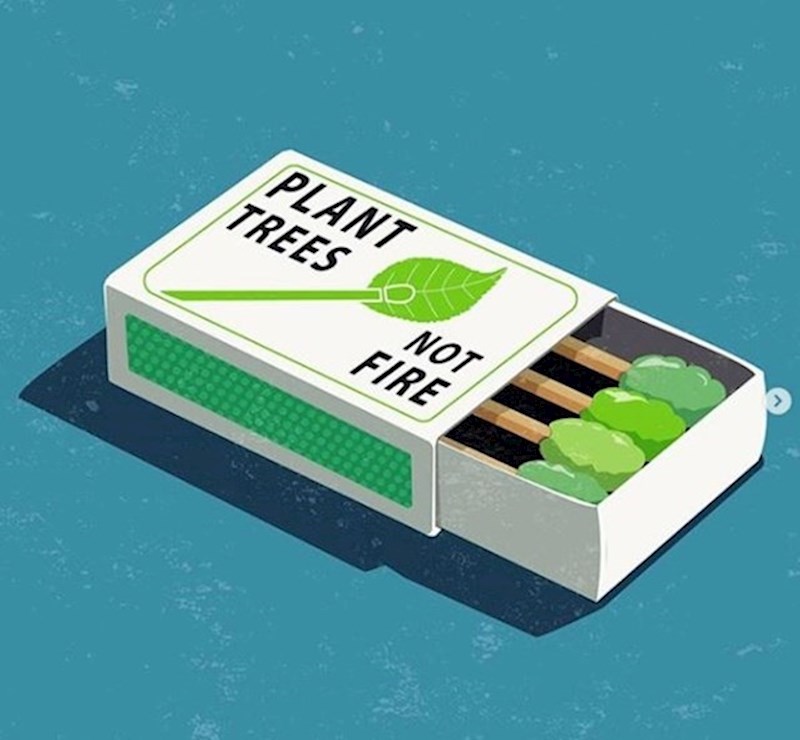 Uništavamo prirodu i ne razmišljamo o tome previše.