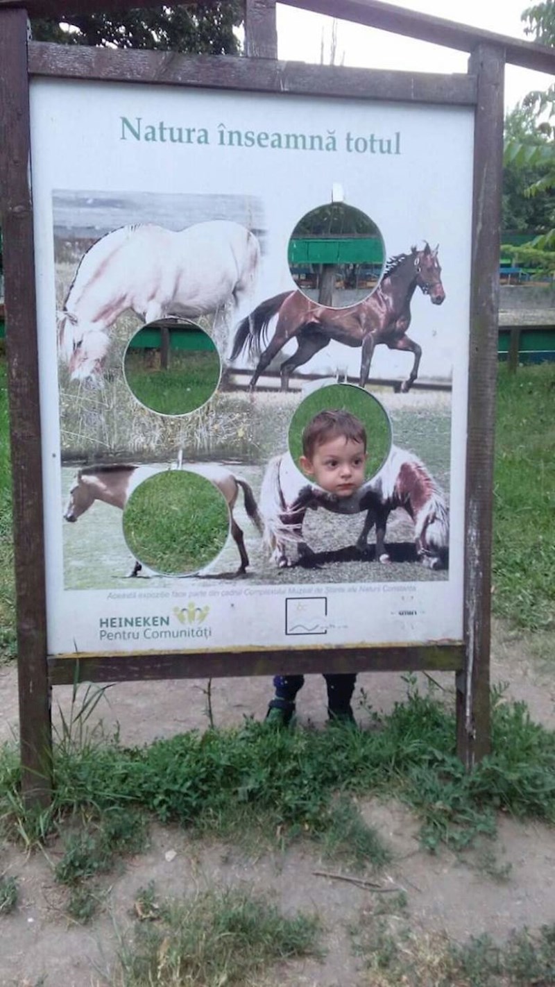 #36 Oduvijek je htio postati...dio konjskih leđa?