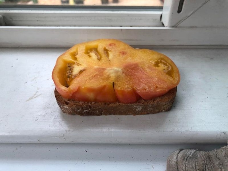 "Ono kad se rajčica i kruh savršeno sljube."