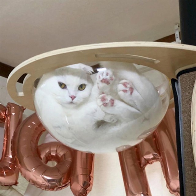 22.