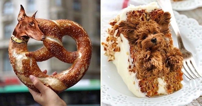 Netko na Instagramu fotošopira pse na fotografije hrane, rezultati su preslatki