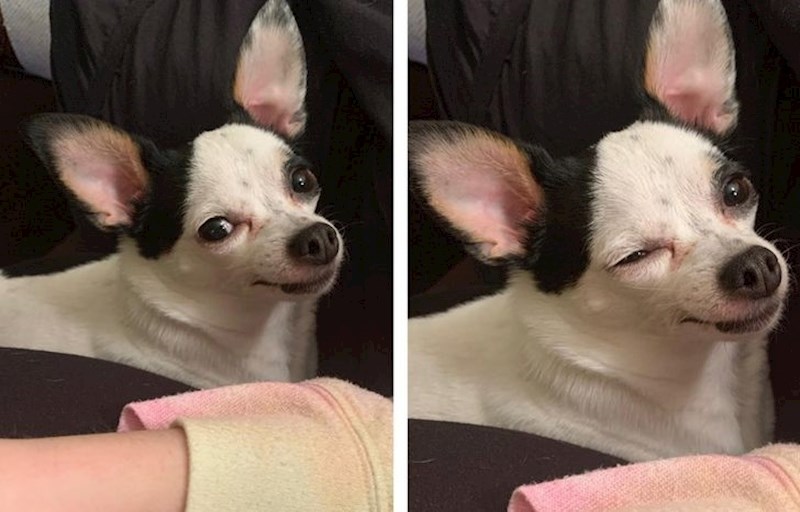 1. Rekla sam joj da je puno ljepša od mene, ovako je reagirala.😂